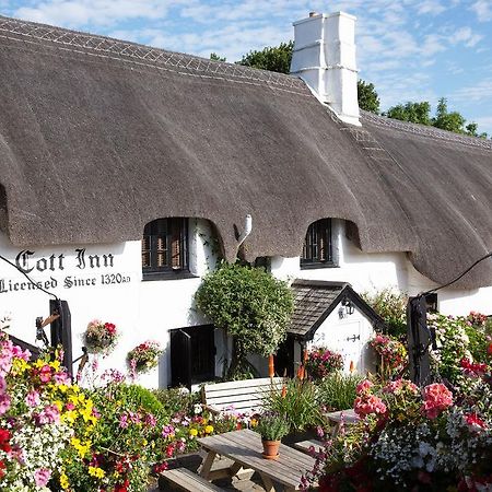 The Cott Inn Totnes Extérieur photo