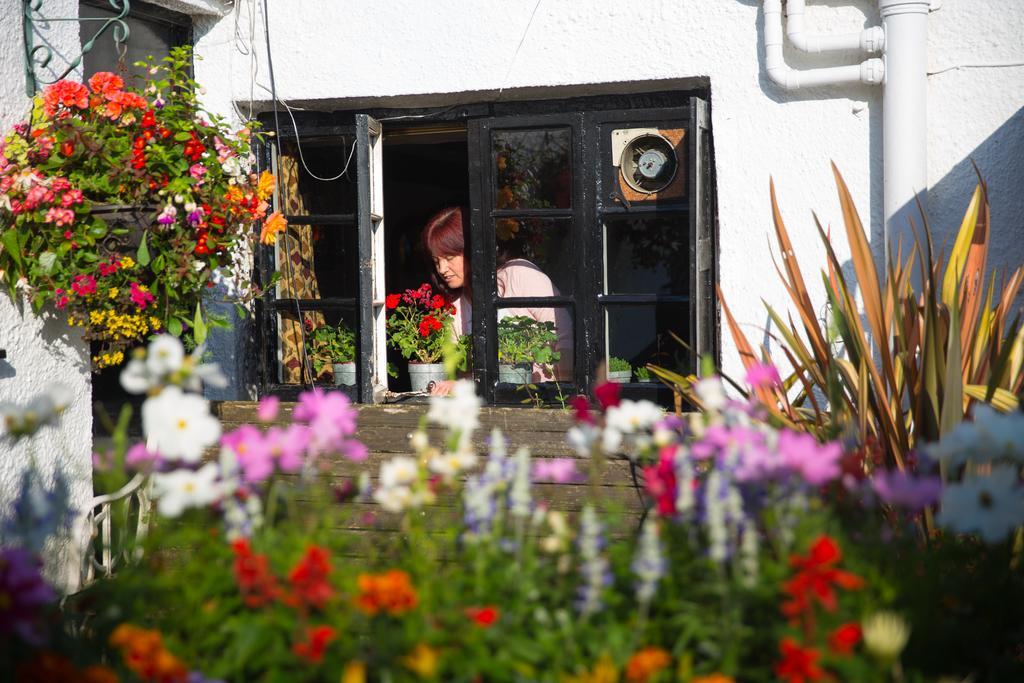 The Cott Inn Totnes Extérieur photo
